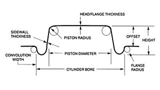 Single Coated Offset Convoluted Diaphragms